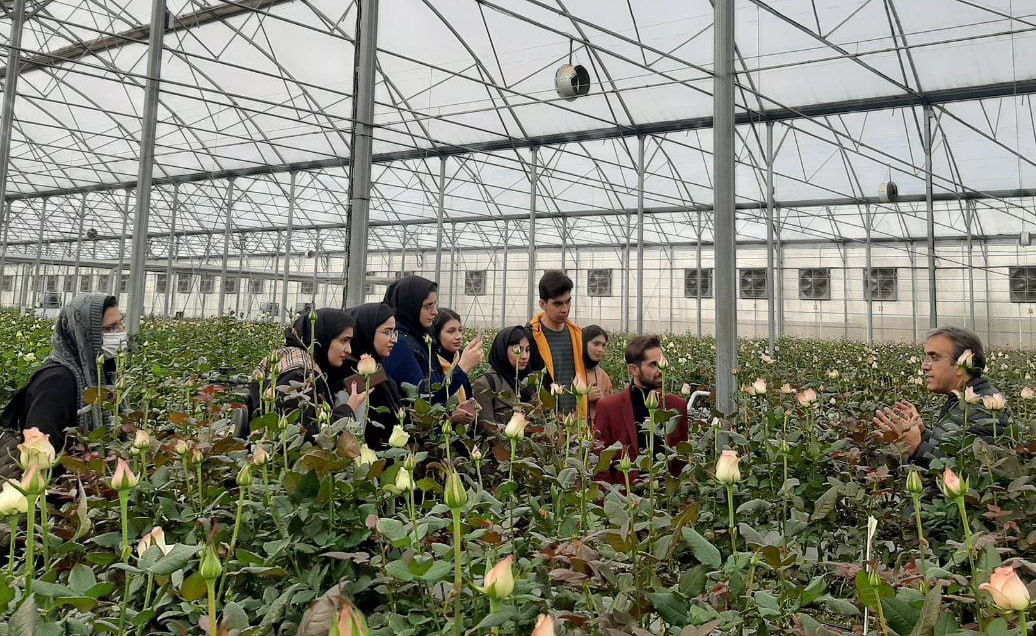 بازدید دانشجویان دانشگاه تربیت مدرس از گلخانه‌های گل رز 